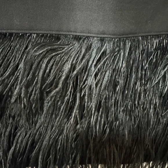Elizabeth and James Black Mini Dress with Ostrich Feather Hem - Picture 4 of 6